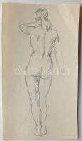 Mihalovits Miklós (1888-1960): Női akt vázlat, ceruza-papír 17x27 cm