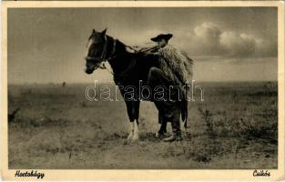 1938 Hortobágy, csikós (EK)