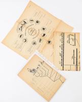 Az állatvilág rendszerezése és fejlődéstörténete, 3 db szemléltető tábla, 39x39 cm és 56x39 cm között