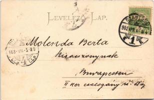 1902 Palics, Palic; fürdő, korzó részlet. Vig Zsigmond Sándor kiadása (Subotica) / spa, promenade (f...