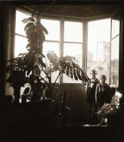 Régi lakásbelsők, bútorok, életképek, 8 db negatív, 6,5x6 cm