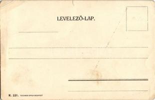 Hölgy kabátban. Teichner Gyula kiadása R. 221. / Woman in coat s: ME (szakadás / tear)