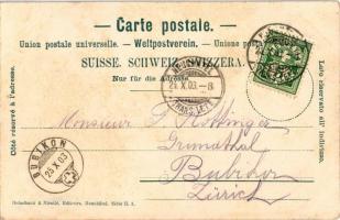 1903 Neuchatel, Le Chateau. Delachaux &amp; Niestlé / castle. Art Nouveau litho montage with Swi...