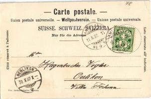 1902 Romont, Le Chateau / castle. Art Nouveau litho montage with Swiss flag (felületi kopás / worn s...