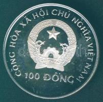 Vietnám 1989. 100D "Labdarúgó VB" Ag (999) T:PP