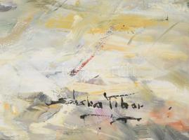 Sáska Tibor (1950-): Faluvége. Olaj, vászon. Jelzett. Dekoratív fakeretben. 60x80 cm