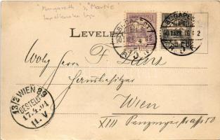 1901 Budapest V. lapátkerekes hajók az Eskü téri kikötőben, budai királyi várpalota látképe (fl)