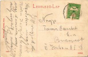 1912 Tövis, Teius; fahíd. Klein Mihály 1646. / wooden bridge (EK)