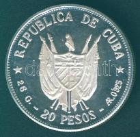 Kuba 1977. 20P "Ignacio Agramonte" Ag T:PP