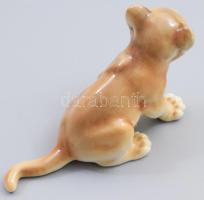 Royal Dux porcelán oroszlánkölyök, kézzel festett, lekopott jelzéssel, kis kopásnyomokkal, 14x8 cm