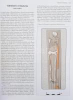Magyar régészet az ezredfordulón. Bp.,2003, Nemzeti Kulturális Örökség Minisztériuma-Teleki László A...
