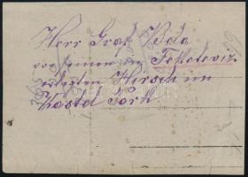 cca 1910 Feketevíz, beazonosítandó Béla n. gróf (Esterházy?) vadászat után kastélyparkban, általa el...