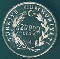 Törökország 1990. 20.000L "Labdarúgó VB" Ag T:PP