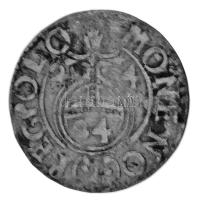 Lengyel-Litván Nemzetközösség 1624. 1gr (1/24 Tallér) Ag "III. Zsigmond" (0,91g) T:XF
Pol...