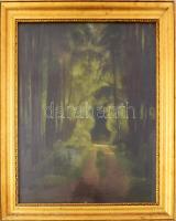 Csánky Dénes (1885-1972): Erdei út, 1929. Olaj, karton. Jelezve jobbra lent. Hátoldalán 1960-1970 körüli raglappal. Dekoratív, üvegezett fakeretben, 60×47,5 cm