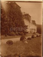 1928 Felsőelefánt, Szent János Elefánt, Nyitra-Szent-János, Oberelefant, Horné Lefantovce; kastély / castle. photo (kopott élek / worn edges)