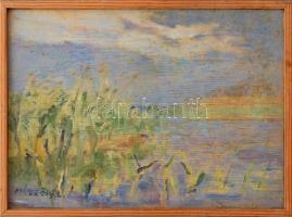 Kelemenné Mészöly Laura (1919-1990): Miniatűr IX. (Balatonpart). Olaj, fa. Jelzett. Hátoldalán Képcsarnok Vállalat címkéivel. Fakeretben, 13×18 cm