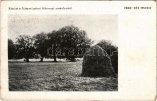 Kistapolcsány, Topolcianky; részlet a kistapolcsányi főhercegi uradalomból. Erdei rét Piszkin / archduke's estate, forestal meadow (kopott sarkak / worn corners)