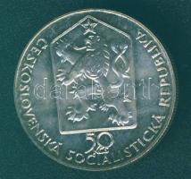 Csehszlovákia 1989. 50K "Breclav-Brno vasútvonal" Ag T:1