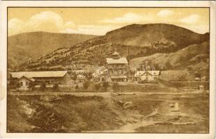 Ocnele Mari (Valcea), Penitenciarul / prison (fl)