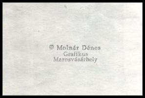 Molnár Dénes (1947-2000): Marosvásárhely (az Erdélyi mezőség c. mappából). Fametszet, papír, jelzett...
