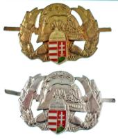 ~1990. Tűzoltós sapkajelvény (2xklf) aranyozott és ezüstözött kivitelben (38x50mm) T:AU