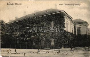 1905 Mór, Báró Traustenberg (Trauttenberg) kastély. Reszler J. kiadása (Rb)