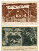 Debrecen, 2 db RÉGI képeslap: Leveles csárda a Nagyerdőn / 2 pre-1945 restaurant postcards