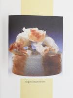 Kínai irodalomról szóló orosz nyelvű sorozat 2 kötete: Klasszikus kínai költészet.; Kínai dalszövege...