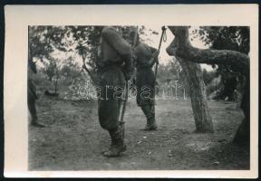 1942 Magyar katonák kikötözése karjuknál, lábuknál a fához, gyakorlat az orosz fronton. fotó 6x9 cm