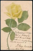 1902 dr. Dax Albert orvos képeslapja autográf soraival Kolozsvárról Kassára