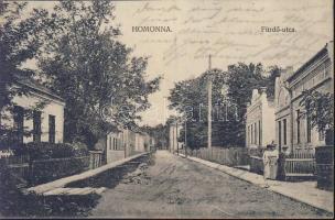 Homonna Spa street (EB)