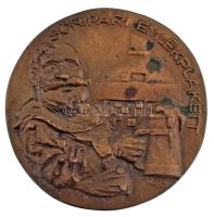 Rácz Edit (1936-) 1973. "Söripari emlékplakett / 1854... és Kőbányán megindult a nagyüzemi serfőzés" kétoldalas bronz emlékérem eredeti sérült tokban (74mm) T:AU patina