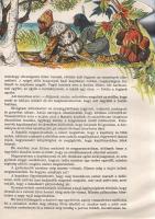 (Kubasta, Vojtech): 
Robinson Crusoe. (Térbeli mesekönyv. Tervezte és rajzolta Vojtech Kubasta.)
[...