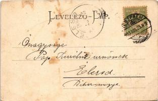 1903 Veszprém, látkép, vár, templom. Pósa Endre kiadása (fa)