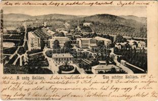 1902 Szliácsfürdő, Kúpele Sliac; gyógyfürdő és környéke. Pannonia, Otthon, Hungaria, Fürdőház, Buda, Bellevue, Bristol, Újpest, Huszka vendéglő, Amália, Strauss, Dankovsky kávéház és étterem, Pest és Pestszárny szálloda, Izraelita (zsidó) vendéglő, Üdvözlégy, Üvegház kertész lak / spa, hotels, Jewish restaurant, greenhouse, café (EK)