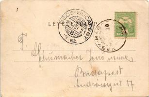 1902 Visegrád, várrom részlet. Divald Károly kiadása (Eperjes) / partie von der Burgruine / castle r...