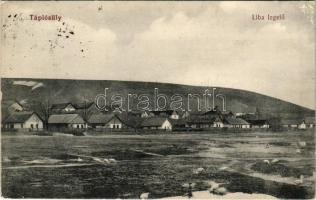 1912 Tápiósüly (Sülysáp), liba legelő. Potok Ernő kiadása (EB)