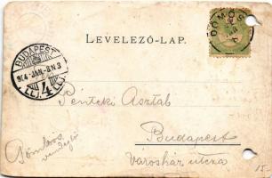 1904 Dobogókő, Dobogókő (Pilisszentkereszt); Báró Eötvös Loránd menedékház, északi kilátás, Thirring...