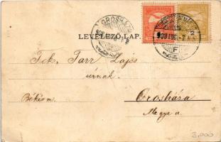 1908 Sztrecsnó, Sztrecsény, Strecno (Ruttka, Vrútky); Sztrecsnóvár, várrom a Vágvölgyben / castle ru...