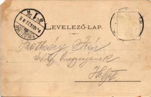 1901 Kolozsvár, Cluj; Középrész. Dunky fivérek kiadása (EM)