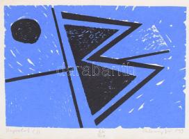 Aknay János (1949-): Kapcsolat. Szitanyomat, merített papír, jelzett, számozott (62/176?), 18×27 cm....