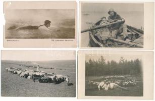 6 db főleg RÉGI postatiszta motívum képeslap vegyes minőségben: festmények, juhnyáj