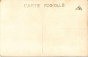 Nagykároly, Carei; Gróf Károlyi kastély / Castelul contele Károlyi / castle. photo