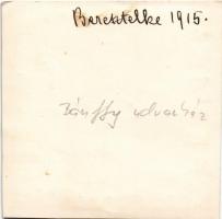 1915 Beresztelke, Bretzdorf, Breaza; Bánffy kastély udvarháza / castle. photo (non PC) (EK) (9,5 x 9...