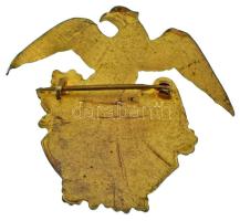 Ausztria ~1900. "Südmark" a Südmark Egyesület zománcozott, címeres jelvénye (38x43mm) T:AU...