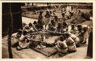 Budapest XIV. Erzsébet Nőiskola, vízinövények és állatok megfigyelése