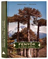 Dr. Debreczy Zsolt - Dr. Rácz István: Fenyők a Föld körül. Mind a két szerző, Debreczy Zsolt (1941-) botanikus, dendrológus és Rácz István (1952-) kertészmérnök, botanikus által DEDIKÁLT példány. Bp., 2000, Dendrológiai Alapítvány. Gazdag képanyaggal illusztrált. Kiadói kartonált kötés, jó állapotban.
