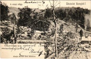 1903 Vócsi-völgy (Bereg); fűrésztelep vasúttal. Bertsik Emil kiadása (Munkács) / saw mill with railway (EK) + "LAVOCZNE - BATYU 110. SZ." vasúti mozgóposta