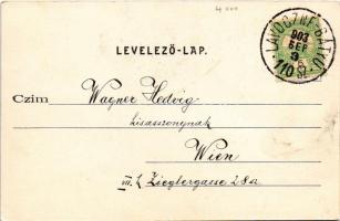 1903 Vócsi-völgy (Bereg); fűrésztelep vasúttal. Bertsik Emil kiadása (Munkács) / saw mill with railw...